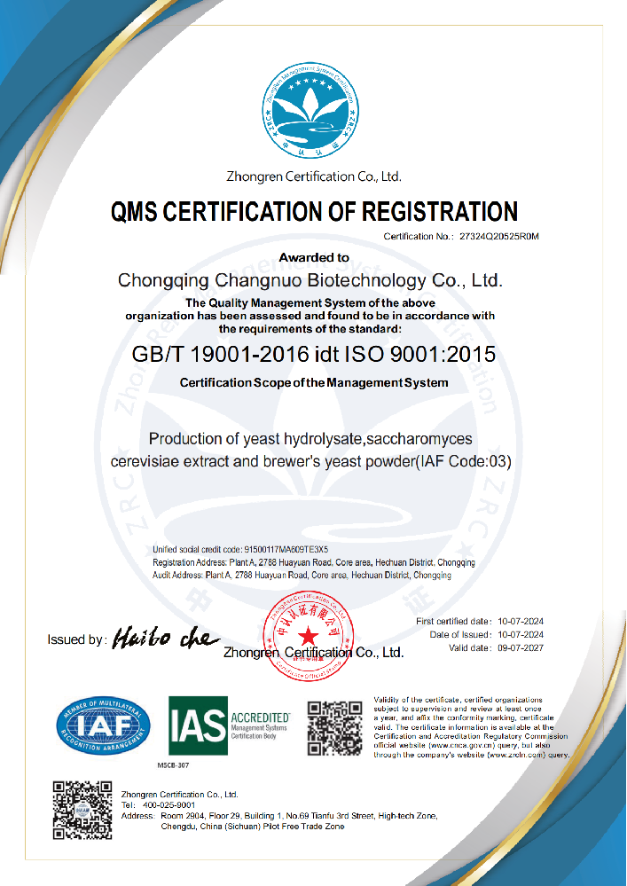 ISO9001