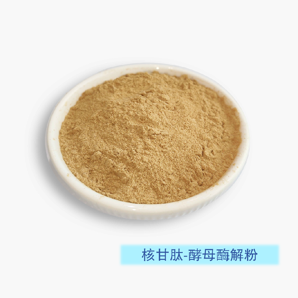 核甘肽-酵母酶解粉
