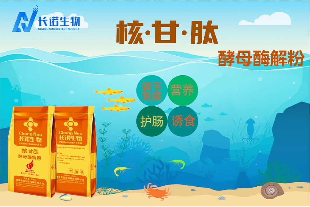 酵母水解物对加州鲈的影响：从生长性能到肠道健康的系统性调控