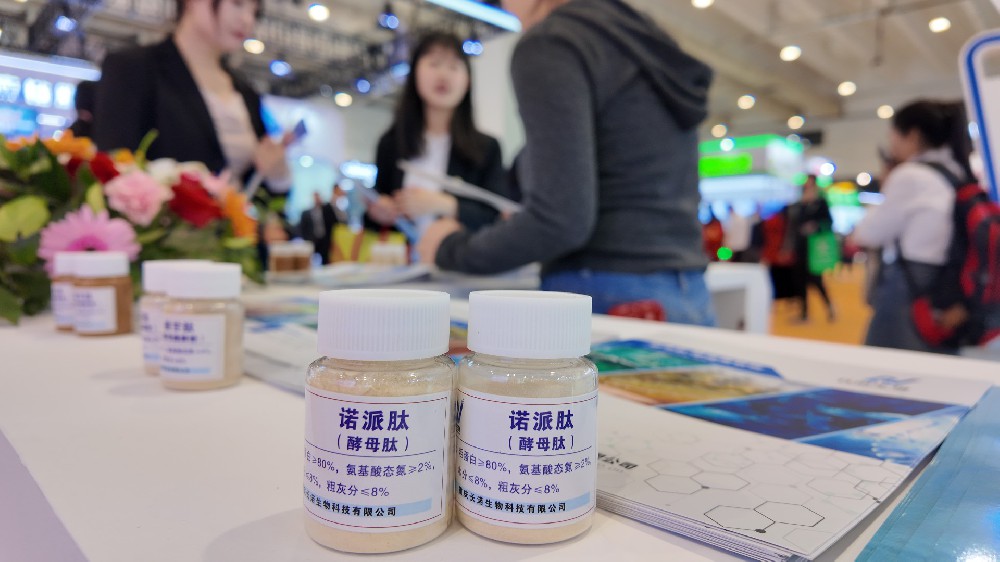 诺派肽在肉食性鱼类饲料的应用：突破高淀粉困境，重塑代谢健康