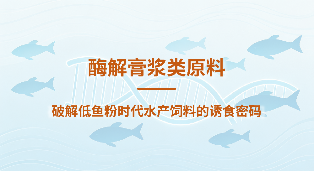 酶解膏浆类原料：破解低鱼粉时代水产饲料的诱食密码